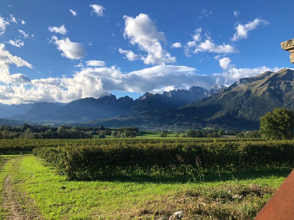 B&B Col De Le Mole - Dolomiti Bellunesi Belluno Esterno foto